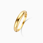 Anillo Domo Elegante | Goud